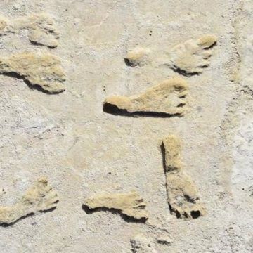 Presencia humana en América del Norte