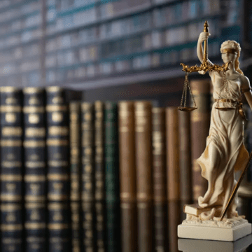 el año con más cantidad de consultas a la Sala Constitucional en su historia