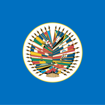 Los países de la OEA no logran acordar una resolución conjunta para exigir a Venezuela publicar las actas electorales