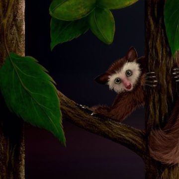 El último primate de Norteamérica anterior a los humanos era inmigrante último primate anterior a los humanos