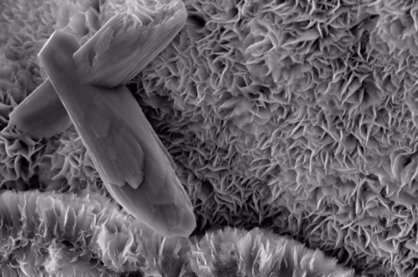 La esmectita: La tectónica de placas produce un mineral contra el cambio climático