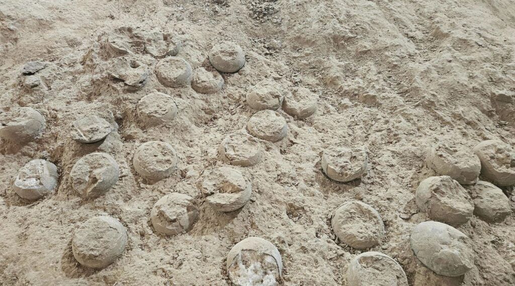 EuropaPress 5653752 fosiles huevos dinosaurio cristalizados descubiertos shiyan provincia hubei