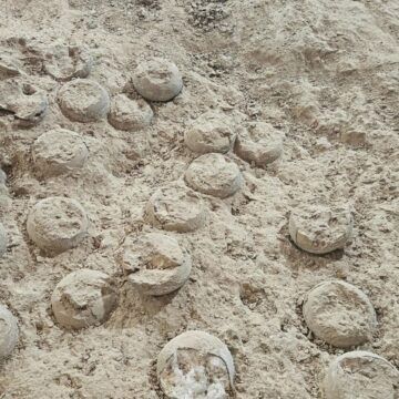Encuentran huevos de dinosaurio cristalizados en China
