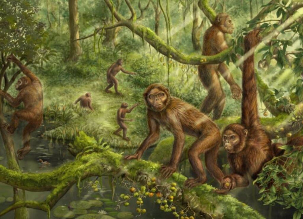 Ancestros arqueologia