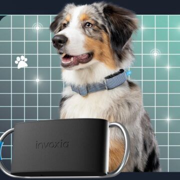 ¿Clínicas veterinarias del estado? Diputada propone un proyecto interesante