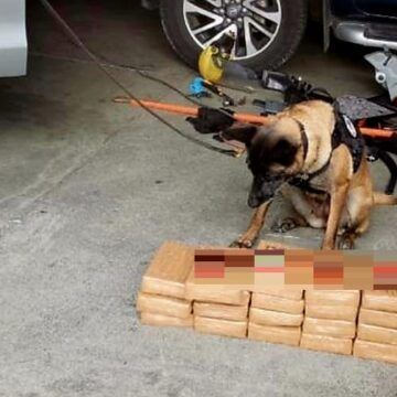 SE JUBILAN 4 OFICIALES CANINOS ANTIDROGAS