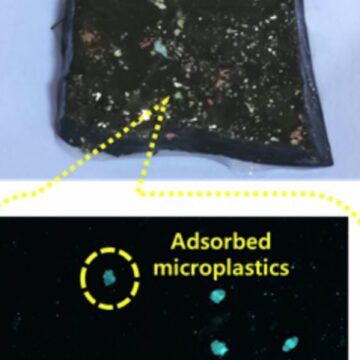 Nuevo hidrogel extrae microplásticos del agua
