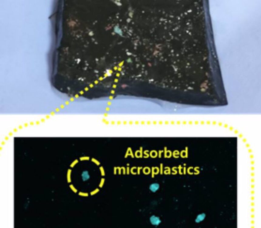 Nuevo hidrogel extrae microplásticos del agua