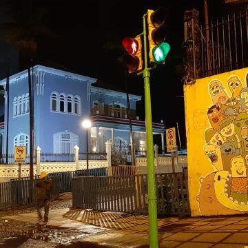 Ariel Robles: A don Rodrigo Chaves no le interesan los monitos, solo “los millones de las inmobiliarias” -video-