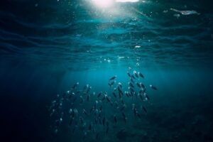 EuropaPress 4575091 microbios profundidades oceano podrian ser buena herramienta transformar