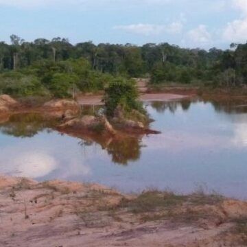 especies son amenazadas por la minería