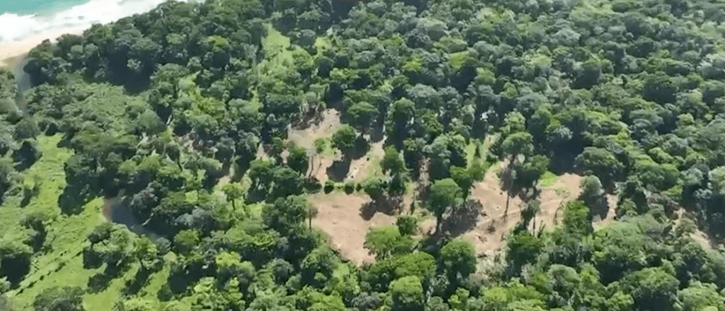 Imputado Pacheco Dent deberá detener explotación forestal y tendrá impedimento de salida del país si prospera solicitud de Fiscalía