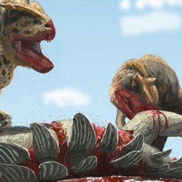 Descubren nuevo dinosaurio depredador con una ‘ceja’ distintiva