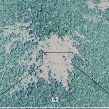 Los derribos de árboles por tormentas potentes se multiplican en la Amazonía