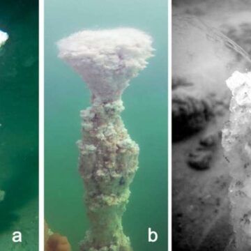 Espectaculares chimeneas naturales descubiertas en el Mar Muerto Insólitas chimeneas naturales descubiertas en el Mar Muerto