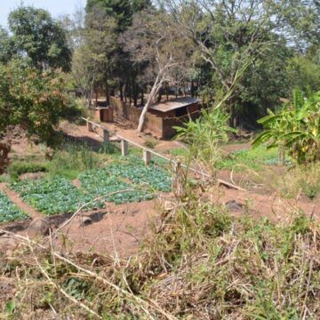En Costa Rica ya lo sabíamos: Una red de pequeños agricultores produciendo para consumo regional mejora la salud y bienestar