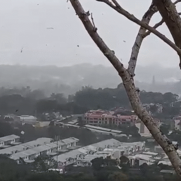 #Alerta | Videos: Vientos fuertes tipo tornado causan destrozos y causas destechadas en varios residenciales de Santa Ana