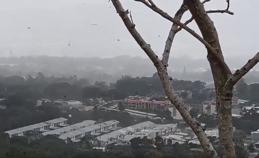 #Alerta | Videos: Vientos fuertes tipo tornado causan destrozos y causas destechadas en varios residenciales de Santa Ana