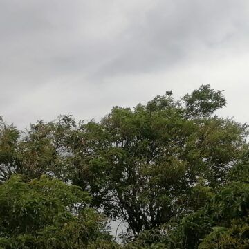 Llega la primera onda tropical del año con lluvias en casi todo el país