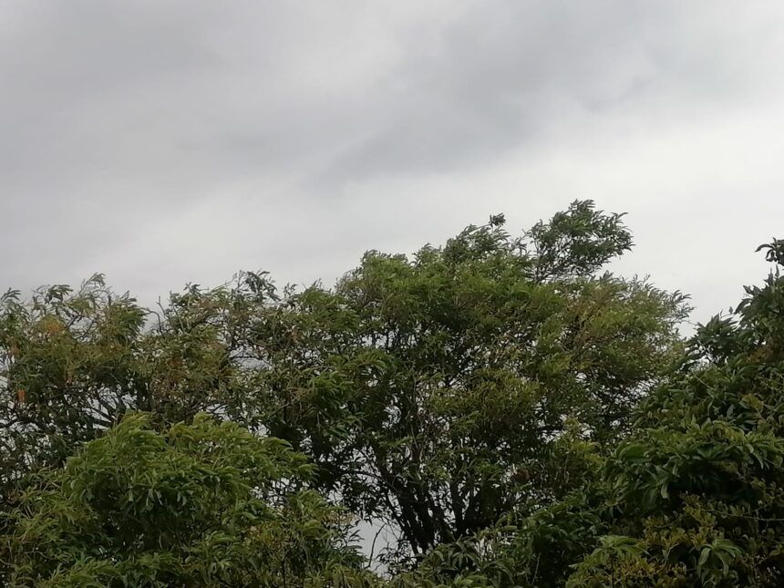 Llega la primera onda tropical del año con lluvias en casi todo el país
