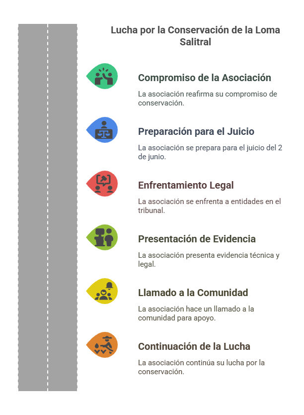 Asociacion Salvemos las Lomas hace un llamado a la comunidad para apoyar la lucha contra inmobiliarias cuyo lucro cercenan ese pulmon fundamental visual selection