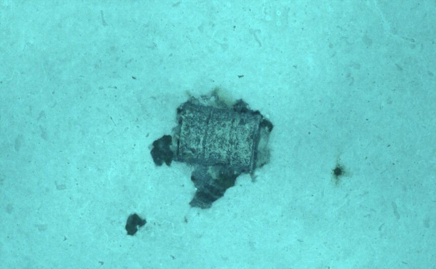 Expedición francesa identifica un total de 3.350 bidones con residuos radiactivos en el Atlántico