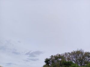 WhatsApp Image 2025 07 14 at 5.43.18 PM