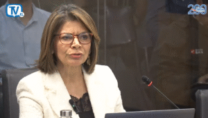 Laura Chinchila comision AL