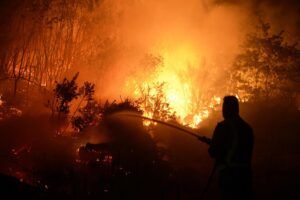 Portugal pierde en sólo dos días 64.000 hectáreas calcinadas por los incendios forestales 14 Los incendios en Gironda (Francia) empeoran y se anuncian evacuaciones masivas