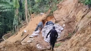 El saqueo continúa: descubren nueva área de extracción ilegal de oro en Cutris