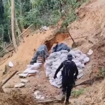 El saqueo continúa: descubren nueva área de extracción ilegal de oro en Cutris