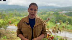 Claudia Dobles injerencia