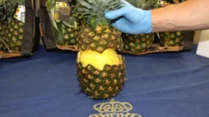 Imagen de pina decomizada en Espana