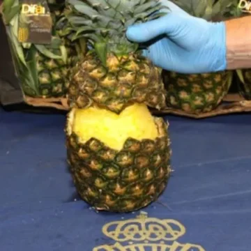 España decomisa más de dos toneladas de cocaína ocultas en cargamento de piñas provenientes de Costa Rica