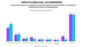 grfico demoscopia