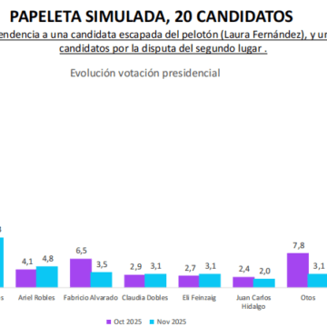 Nueva encuesta: se confirman los indecisos y porcentajes de simpatía electoral (Fernández en un 27% y Ramos en un 11,3%)