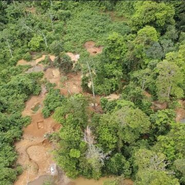 Sobrevuelo: Cerro Conchuditas es el nuevo sector donde coligalleros extraen oro de manera ilegal en Cutris de San Carlos