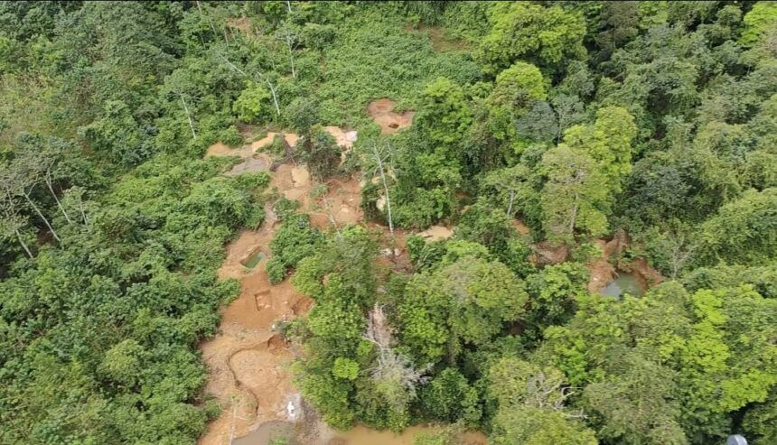 Sobrevuelo: Cerro Conchuditas es el nuevo sector donde coligalleros extraen oro de manera ilegal en Cutris de San Carlos