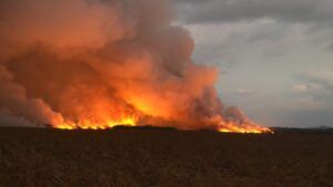 Fuertes vientos y negligencia de las personas provocan severos incendios forestales: ya van 25 este año