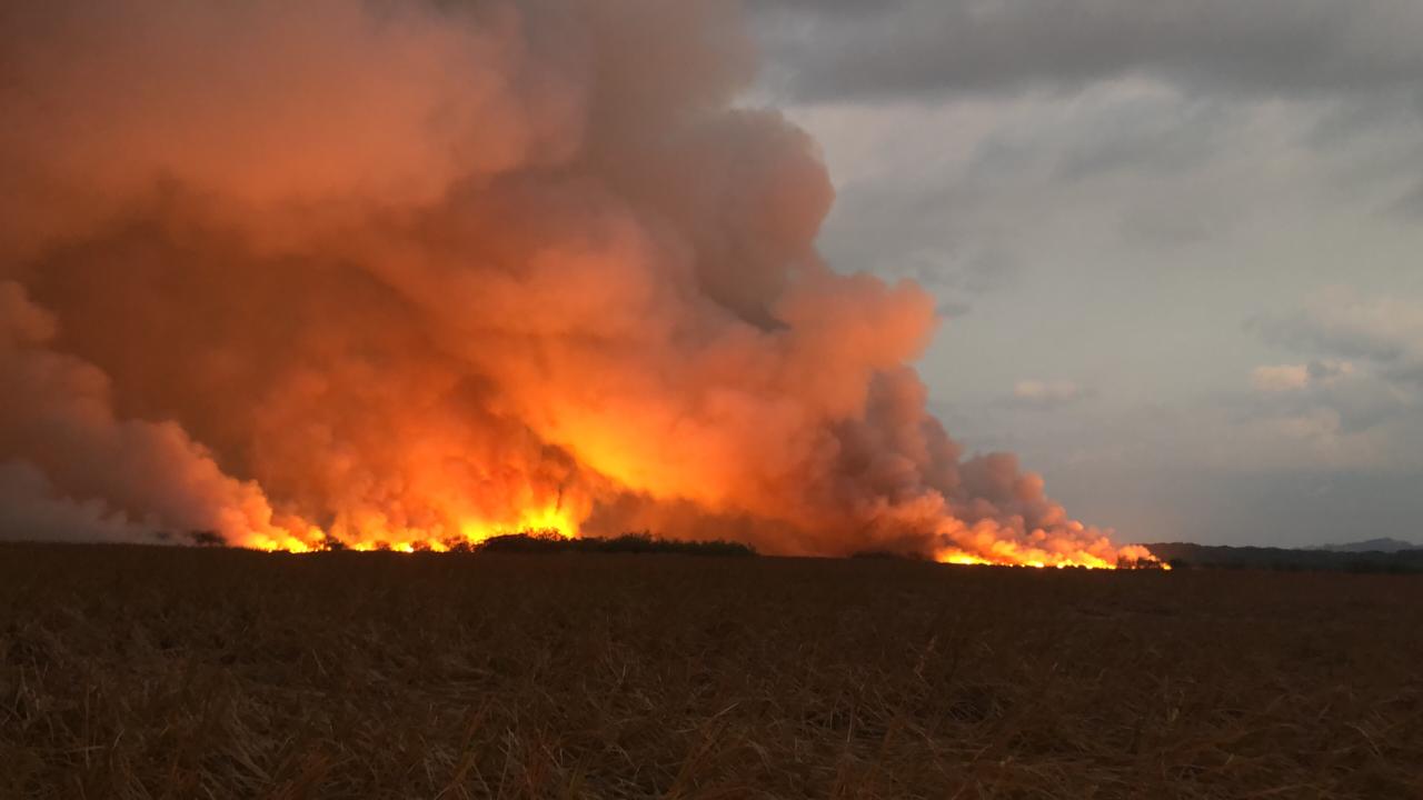 (Video) Fuertes vientos y negligencia de las personas provocan severos incendios forestales: ya van 25 este año 16 Fuertes vientos y negligencia de las personas provocan severos incendios forestales: ya van 25 este año