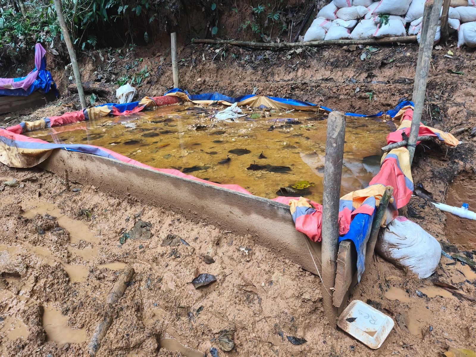 Sala Constitucional obliga al Ejecutivo a actuar contra la minería ilegal en Crucitas: agua contaminada, mercurio y soberanía en juego