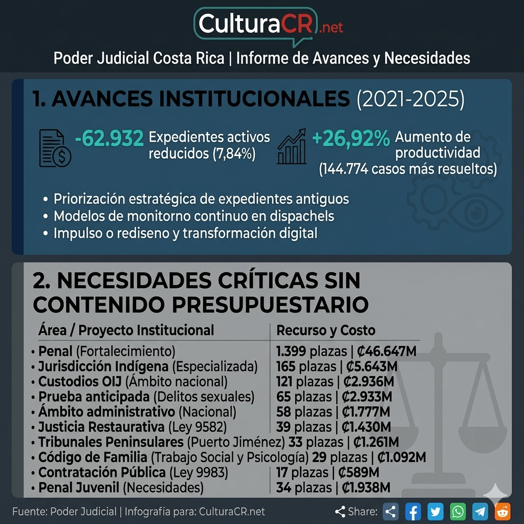 infografia poder judicial