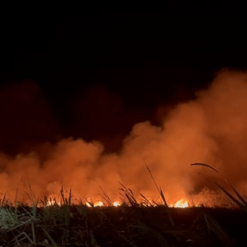 Videos | Rayo provocó incendio en Palo Verde que consume entre 200 y 300 hectáreas