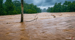 Videos: Más de 348 personas yacen en albergues ante inundaciones en Sarapiquí y Caribe norte
