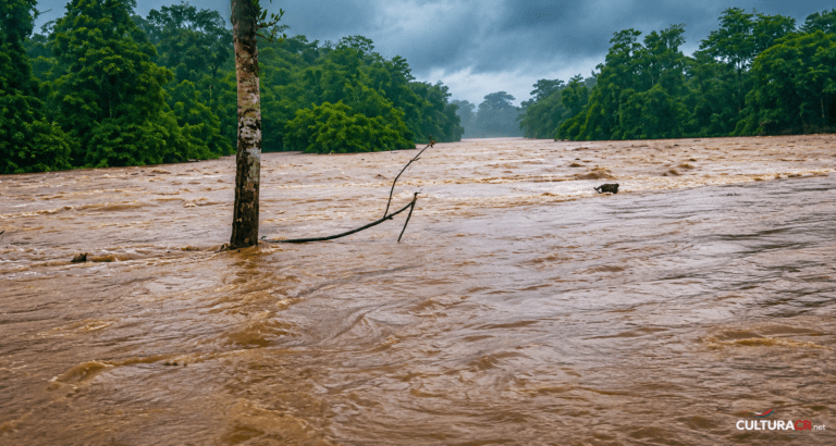 Videos: Más de 348 personas yacen en albergues ante inundaciones en Sarapiquí y Caribe norte