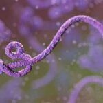 ebola