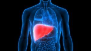Infobreves de salud: Logran el genoma humano completo de una persona real y descubren una proteína que retrasa el daño al hígado