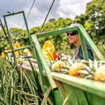 Carta abierta al sector productivo nacional y a la ciudadanía costarricense