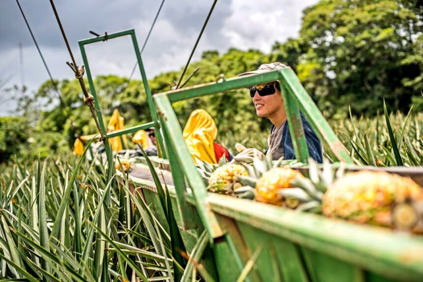 Carta abierta al sector productivo nacional y a la ciudadanía costarricense