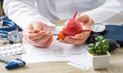 Infobreve Salud — Lo último al 10 de octubre de 2026